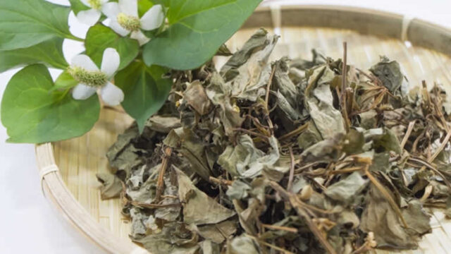 離乳食のとうもろこしっていつから赤ちゃんに 薄皮の処理など解説 ヒントのツボ